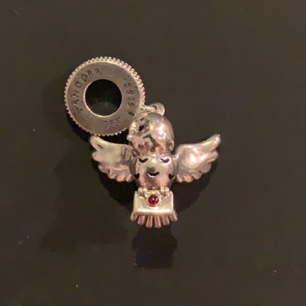 Pandora Harry Potter charm. NWOT